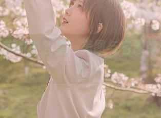 在N年前的办公室：美图与名濑弥七的重逢